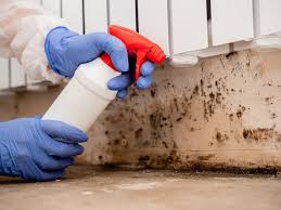 Best Mold Prevention Services  in Cottonwood Shores, TX